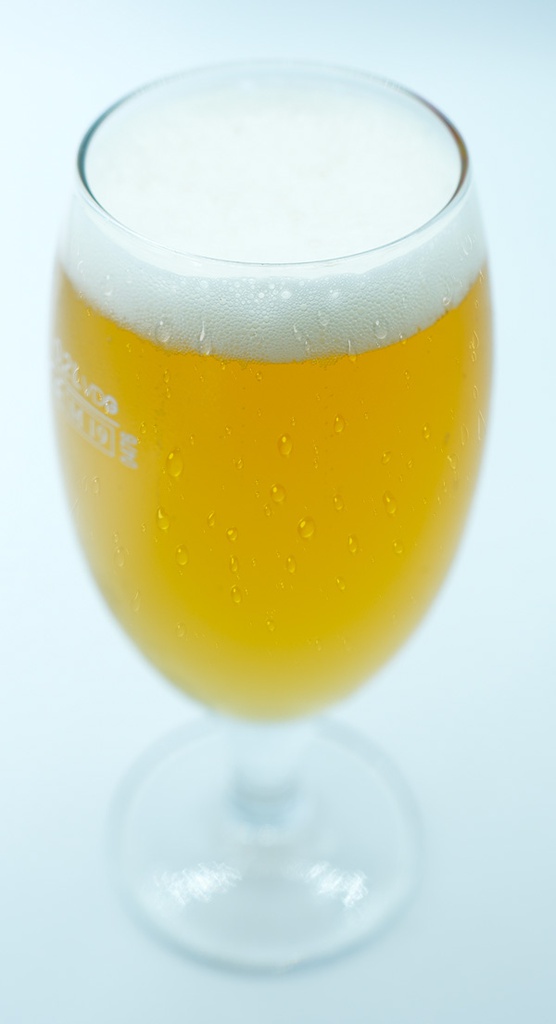 Birra Artigianale Bionda 0,20 l.