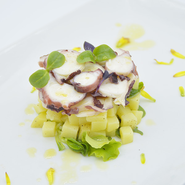 Octopus salad on warm potatoes with flavored oil